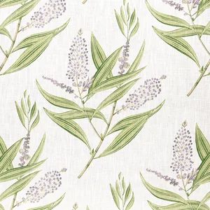 Anna French Winter Bud in Lavender (AF23134)