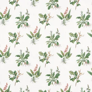 Anna French Woodland in Green and Blush (AF57852)