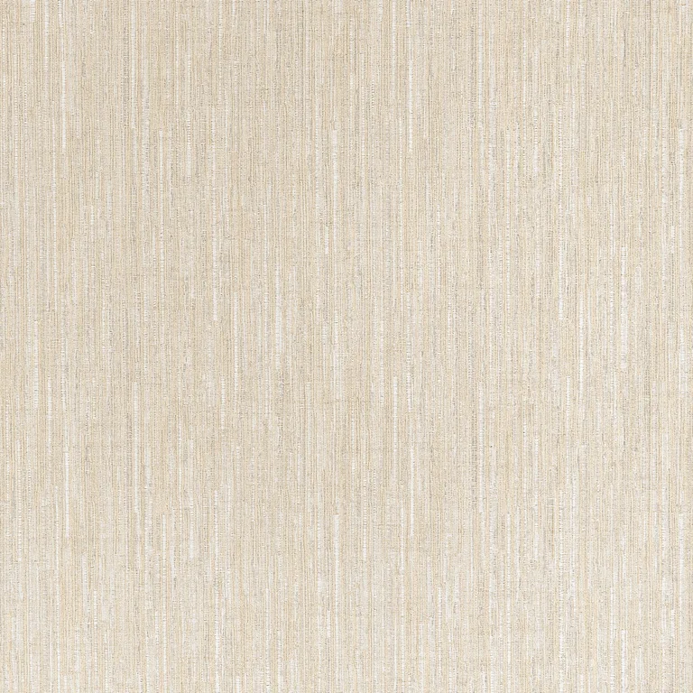 Thibaut Zeta in Champagne (W724489)