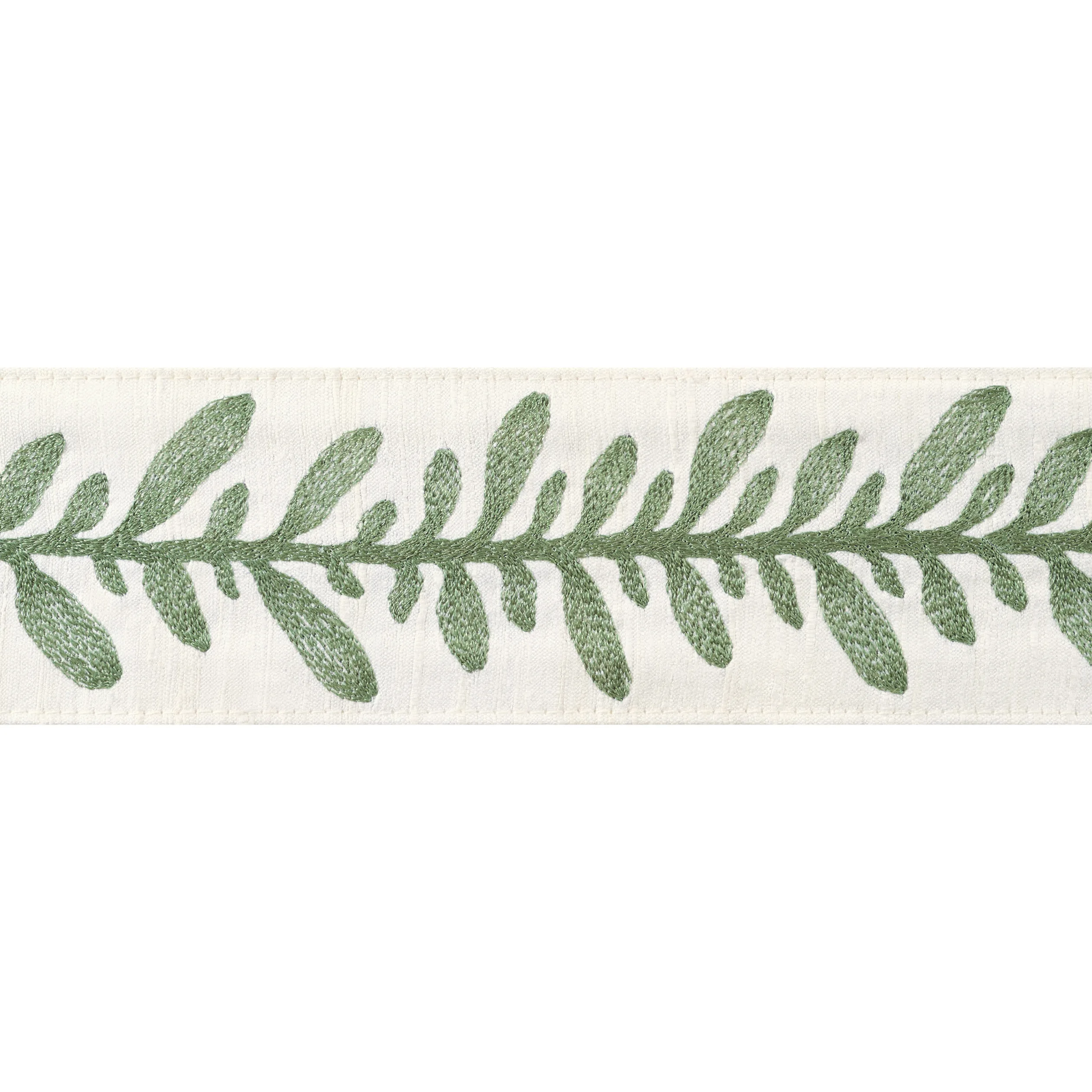 AE12322 | Calathea Tape – Juniper