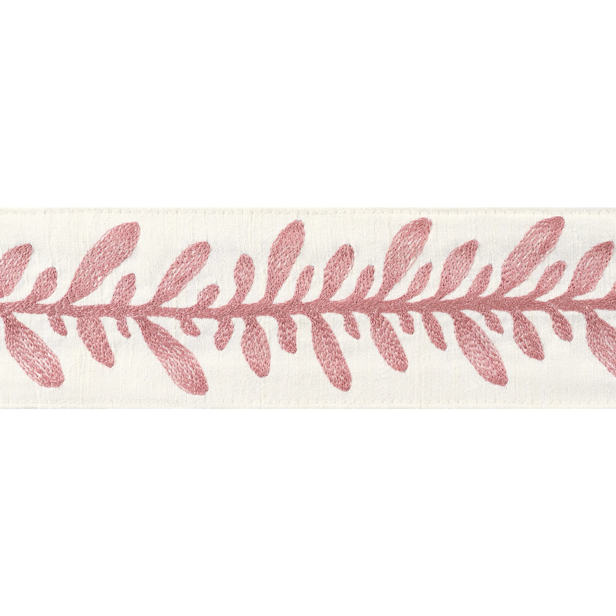 AE12318 | Calathea Tape – Rose