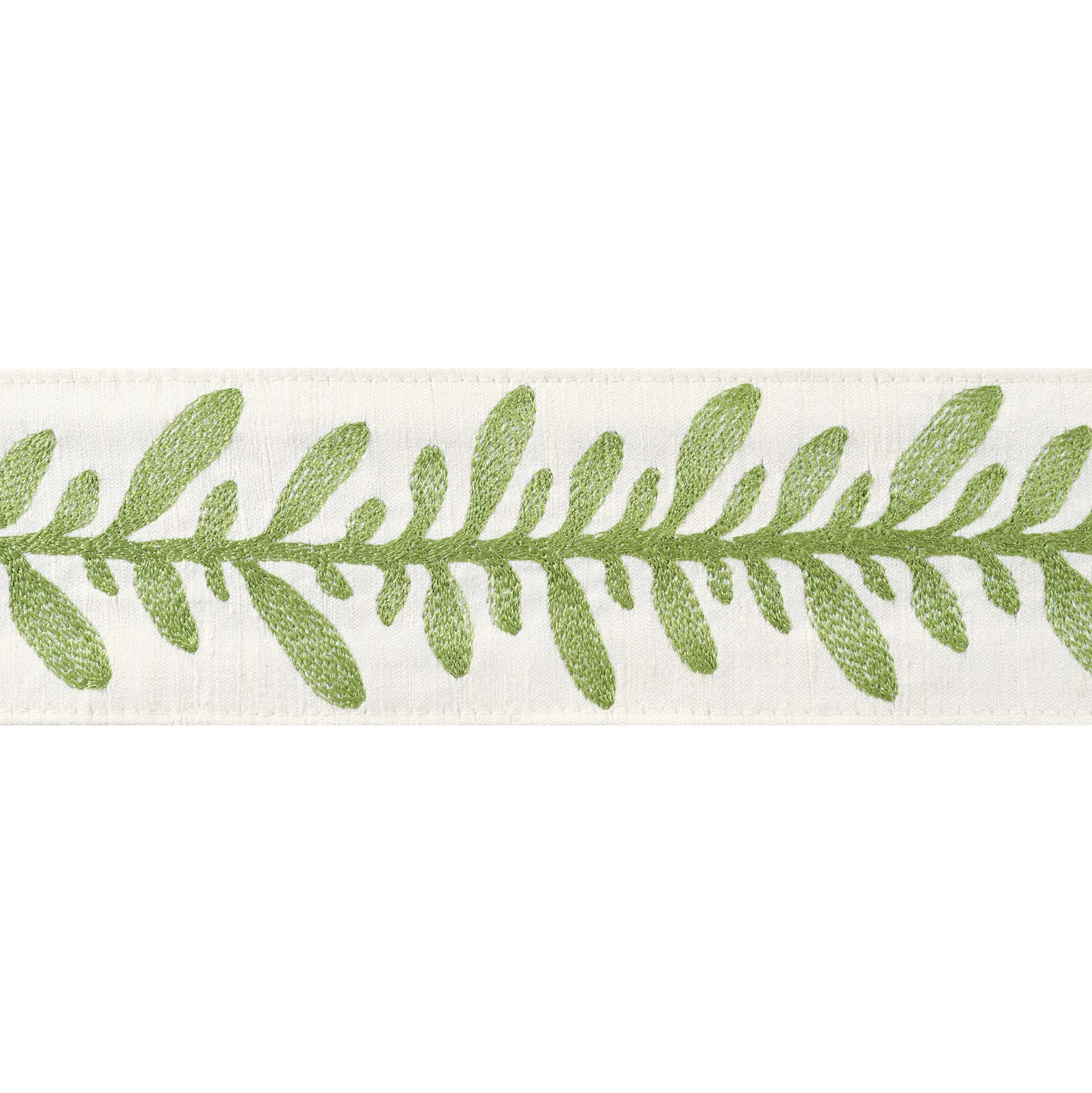 AE12323 | Calathea Tape – Spring