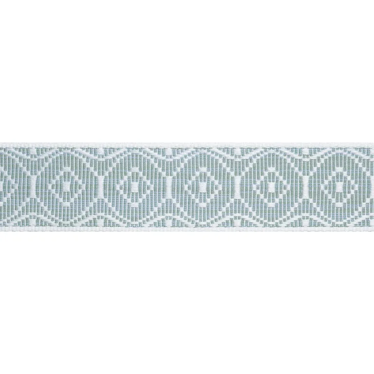 Thibaut Knox Tape in Aloe (E12448)