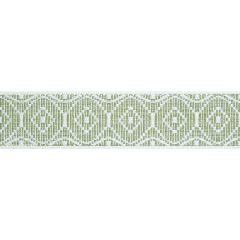 Thibaut Knox Tape in Leaf (E12447)