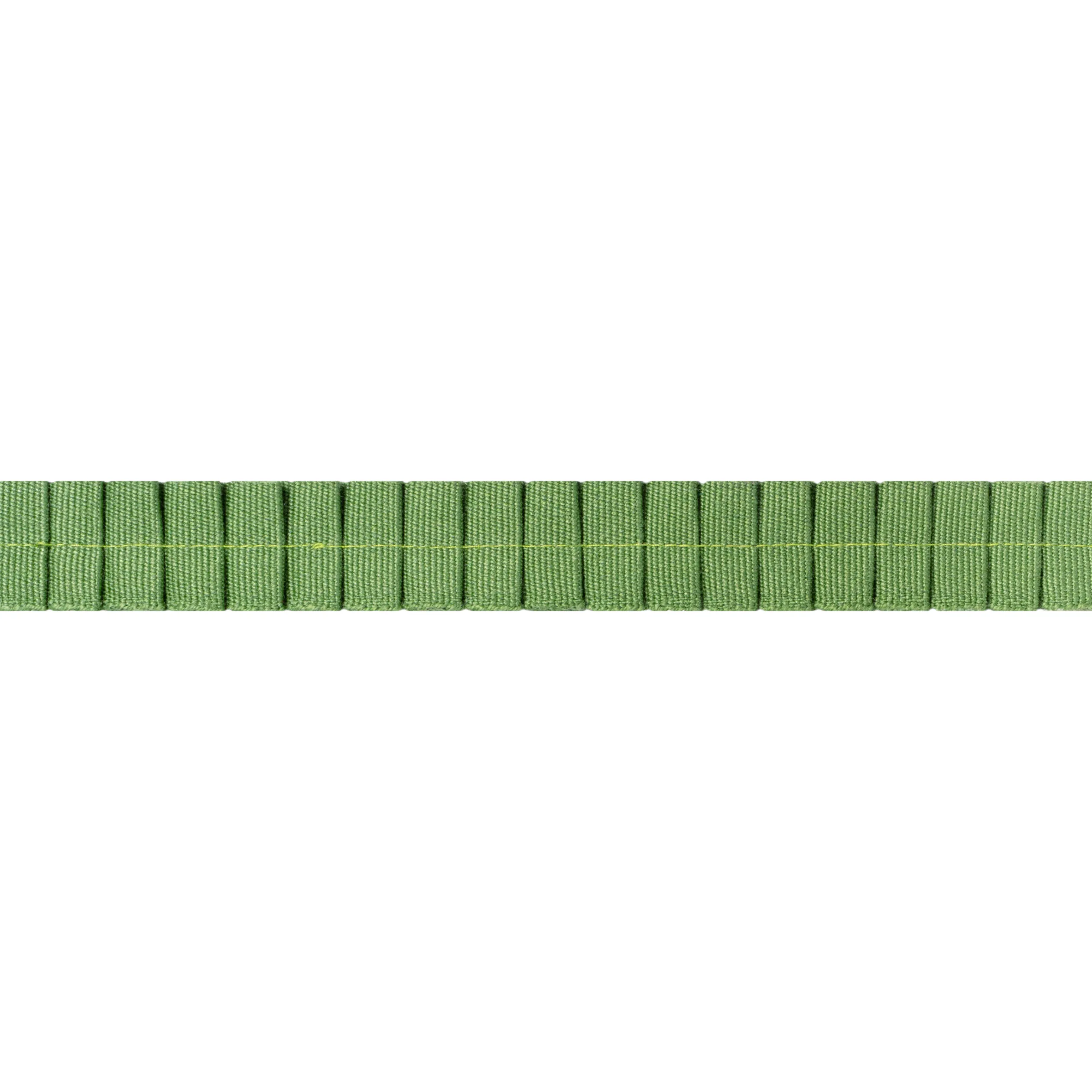E12060 | Pleated Tape – Kelly