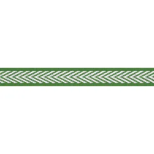 Thibaut Westport Tape in Kelly (E81839)