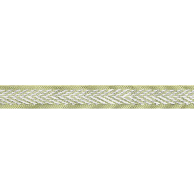 Thibaut Westport Tape in Spring Green (E81837)