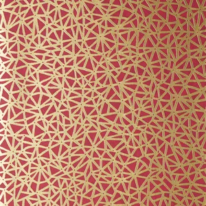 Thibaut Aedan in Raspberry (T10405)