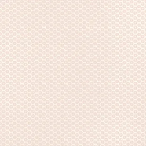 Thibaut Akari in Blush (T13367)