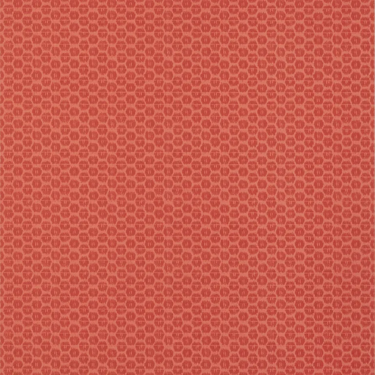 Thibaut Akari in Coral (T13394)