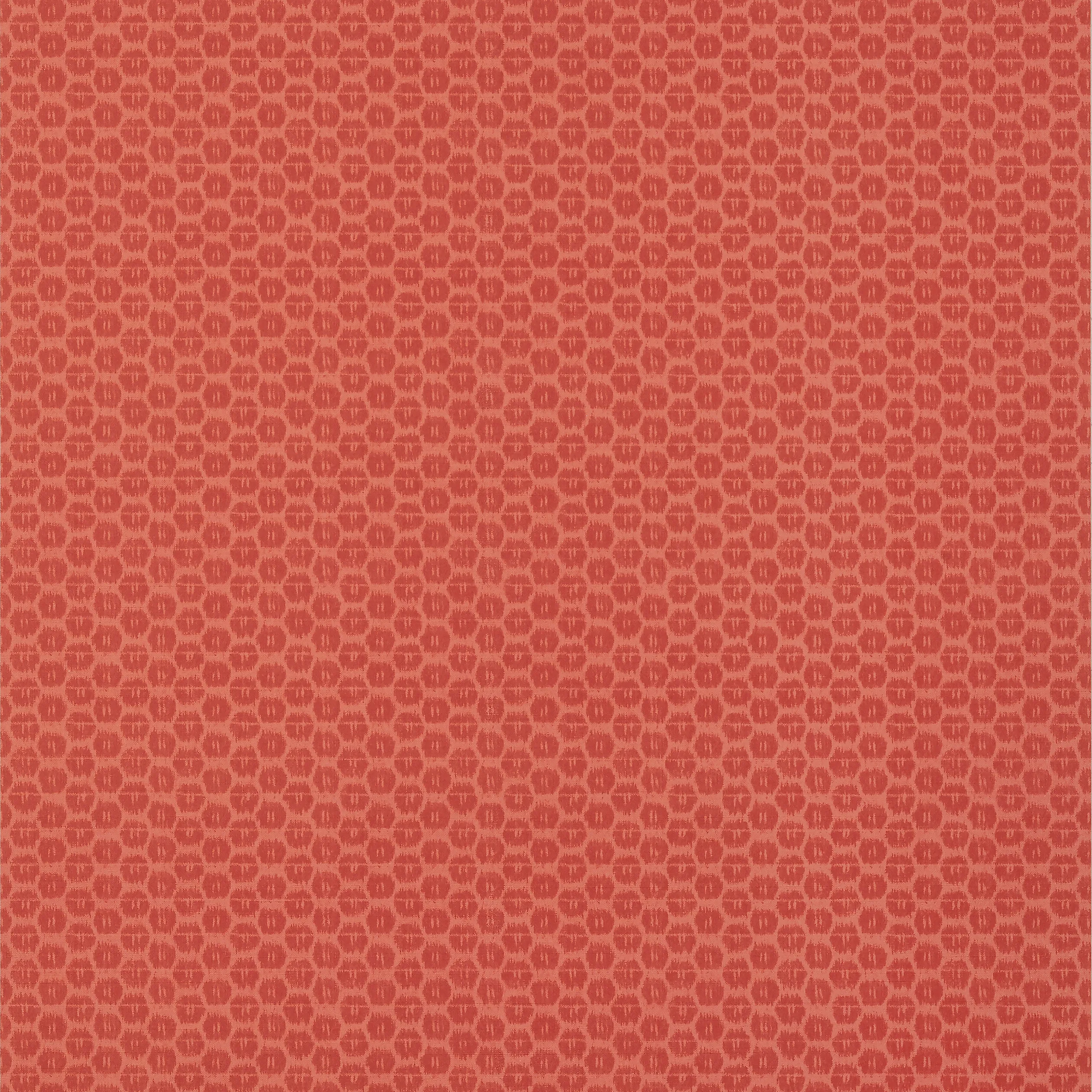 T13394 | Akari – Coral