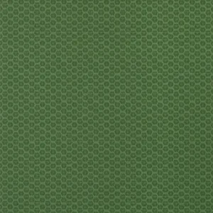 Thibaut Akari in Emerald (T13368)