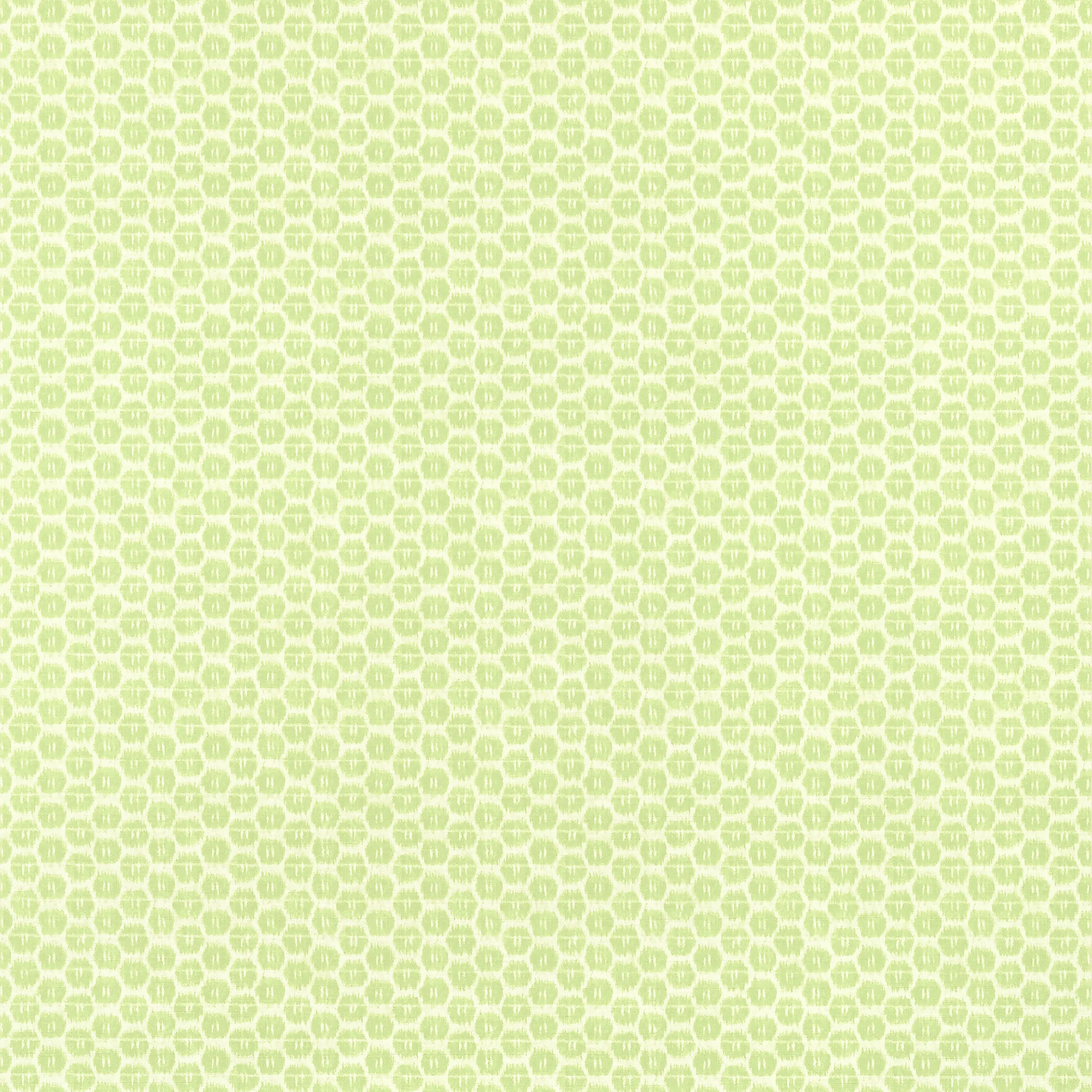 T13365 | Akari – Spring