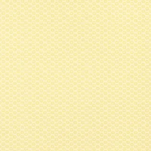 Thibaut Akari in Yellow (T13366)
