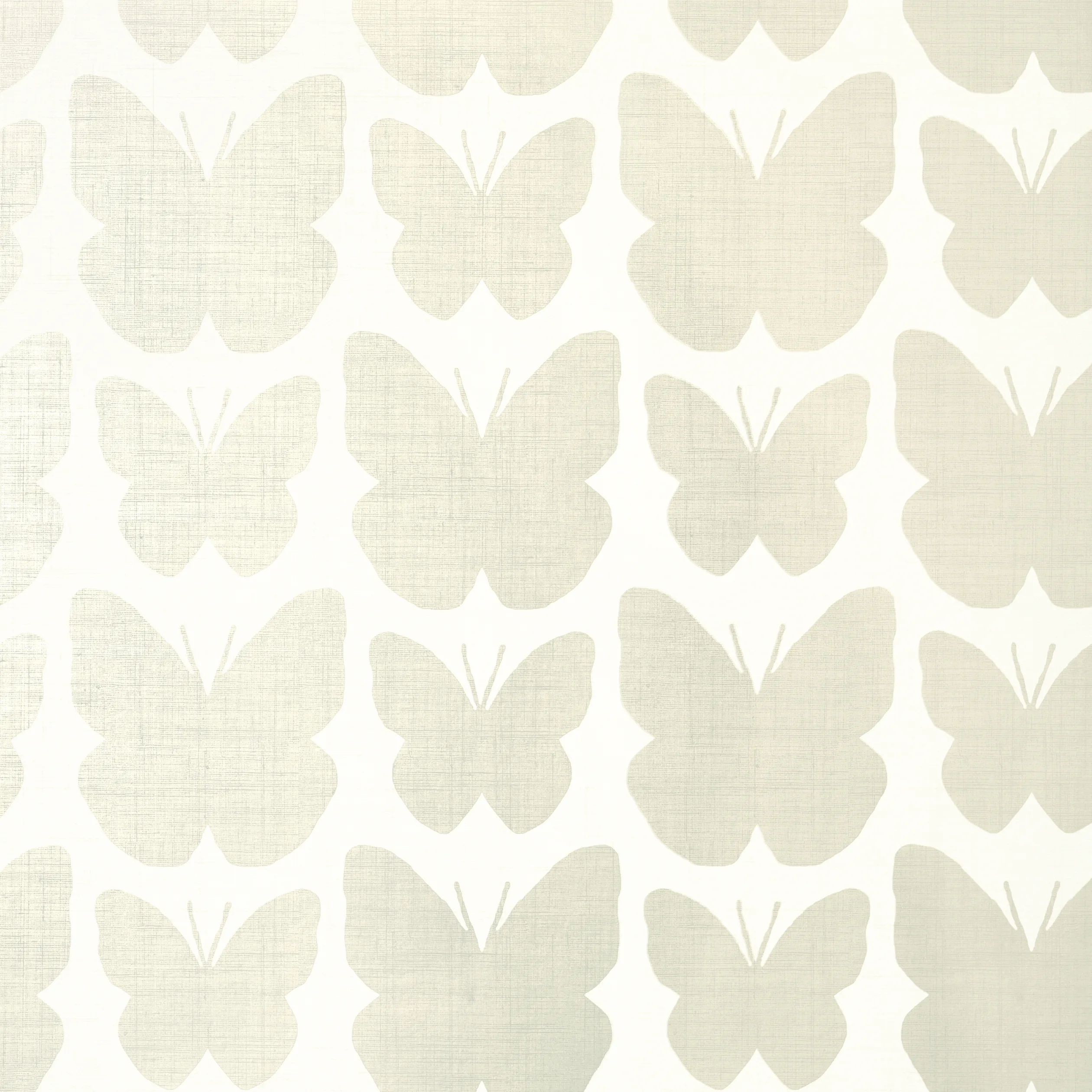 Thibaut Aldora in Pearl on White (T11048)