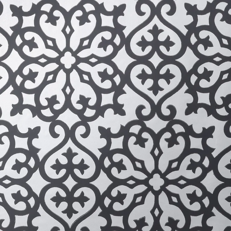 Thibaut Allison in Black on Metallic Silver (T35177)