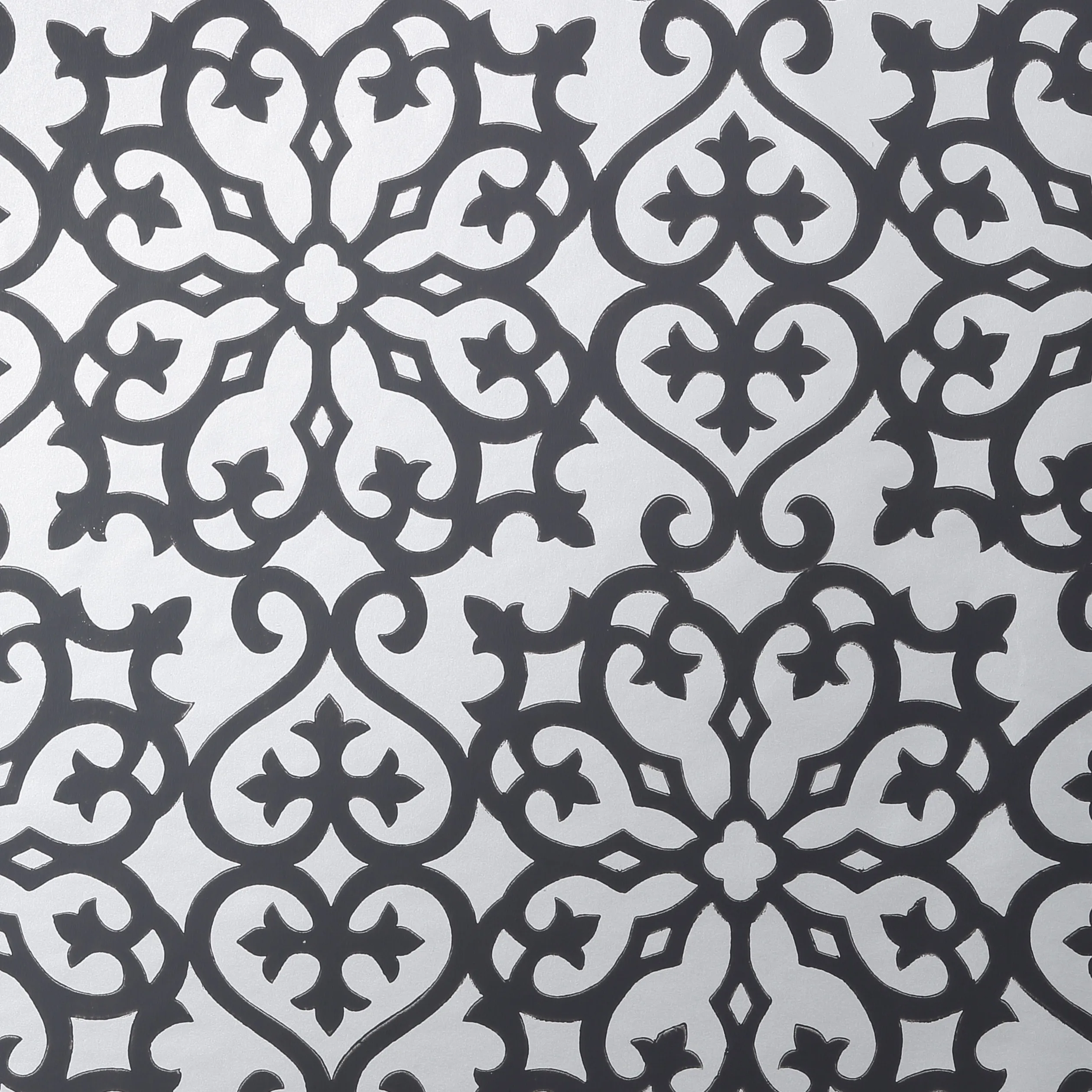 Thibaut Allison in Black on Metallic Silver (T35177)