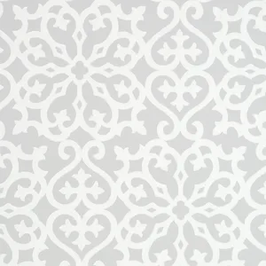 Thibaut Allison in Grey (T35182)