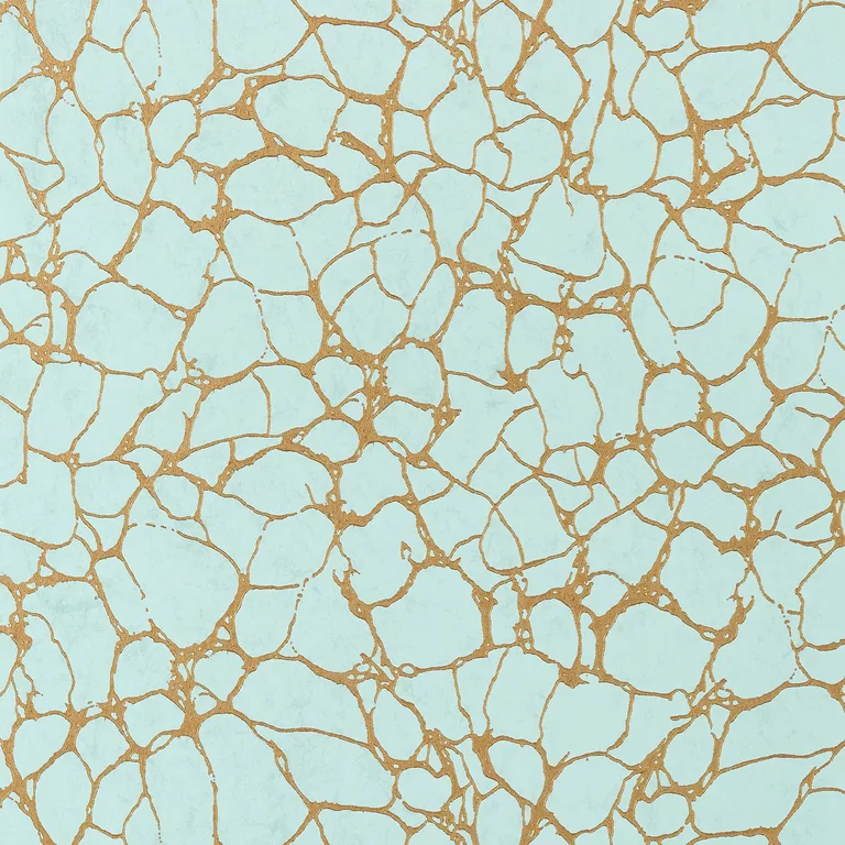Thibaut Amato in Aqua (T4018)