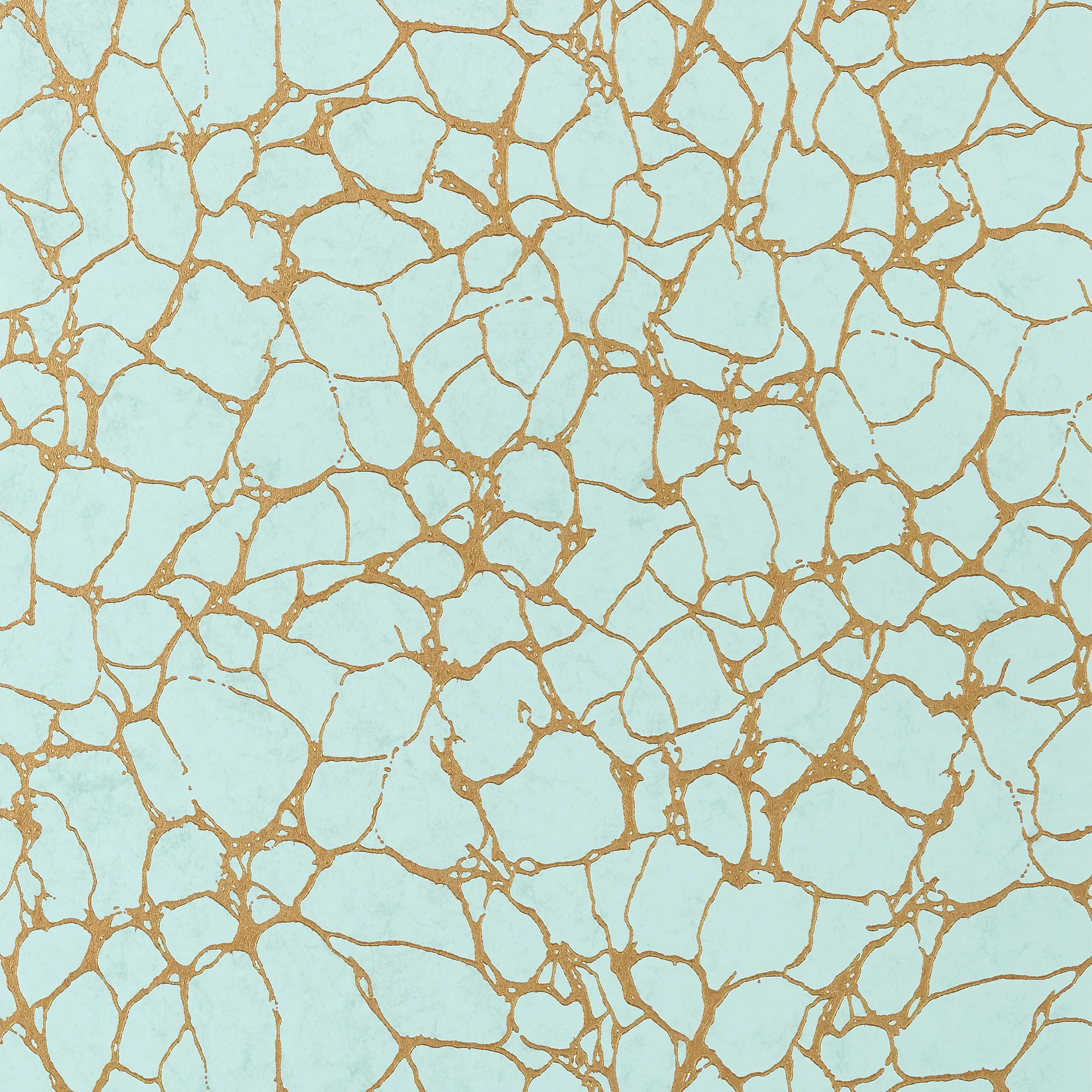 Thibaut Amato in Aqua (T4018)