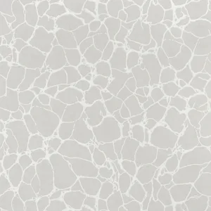 Thibaut Amato in Grey (T4015)