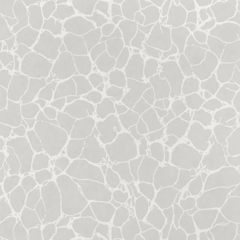 Thibaut Amato in Grey (T4015)