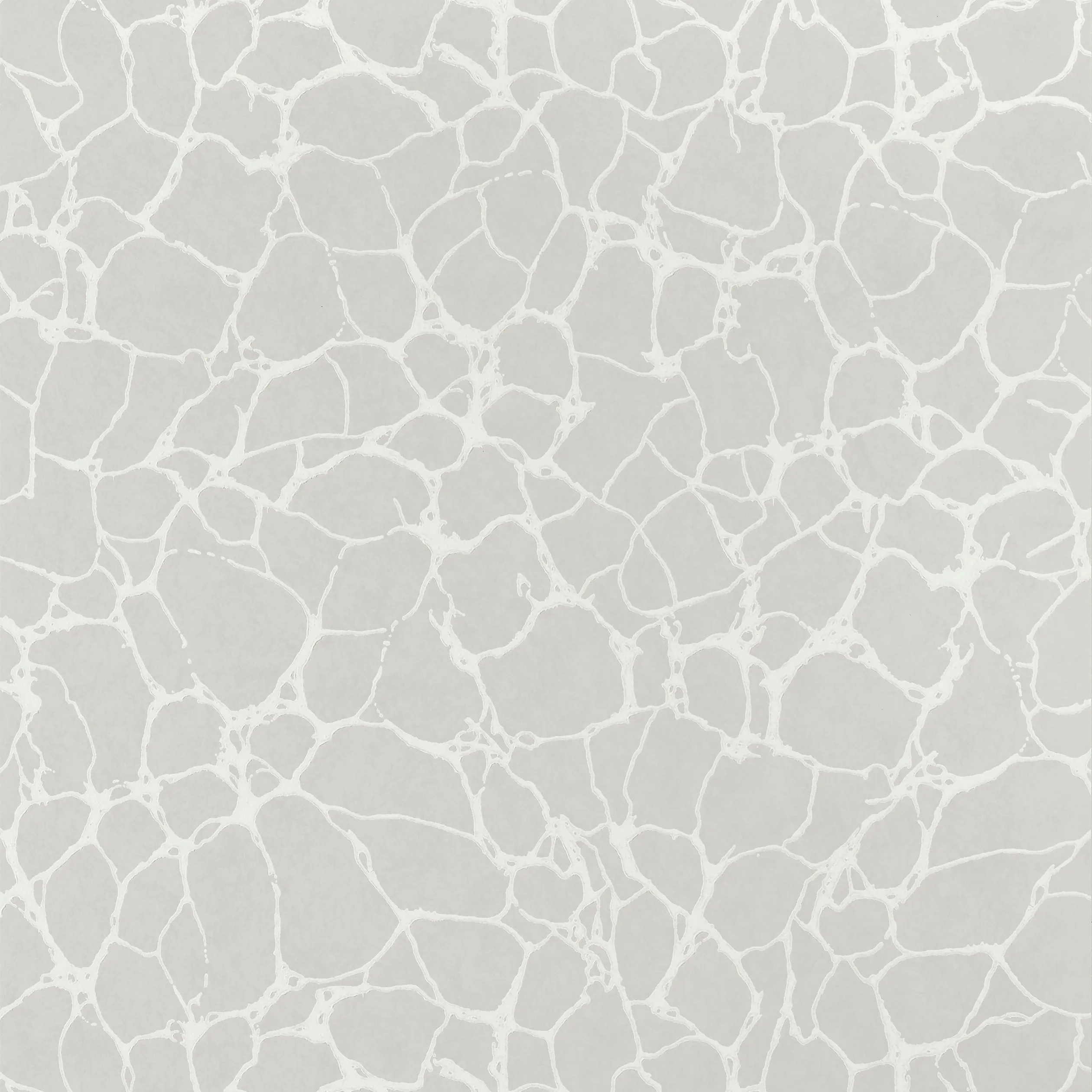 Thibaut Amato in Grey (T4015)