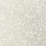 T4017 | Amato - Metallic Pewter Thibaut Amato in Metallic Pewter (T4017)