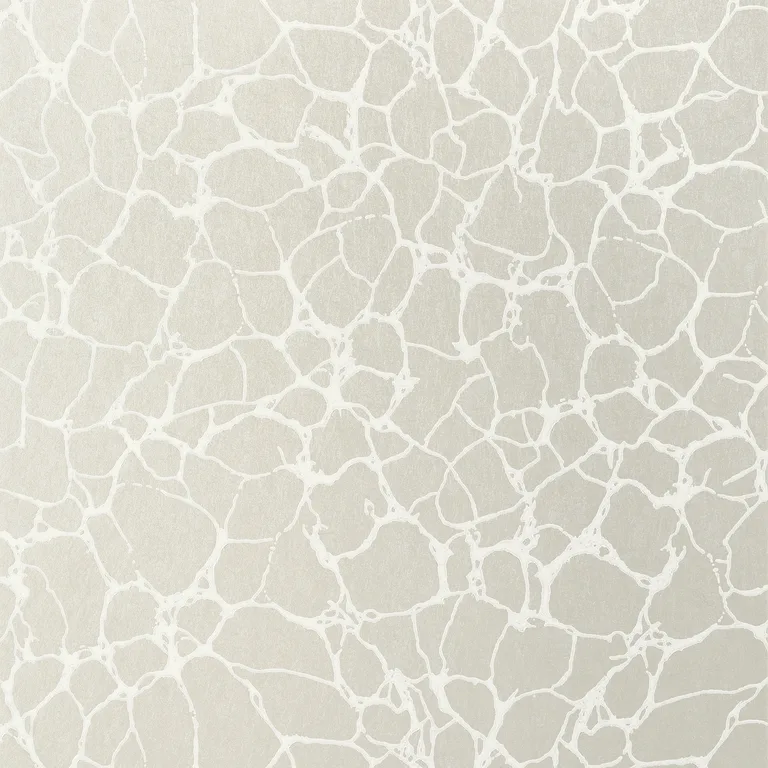 Thibaut Amato in Metallic Pewter (T4017)