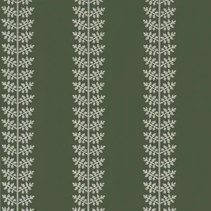Thibaut Amble in Olive (T10506)