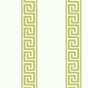 Thibaut Andreas Stripe in Green (T14240)