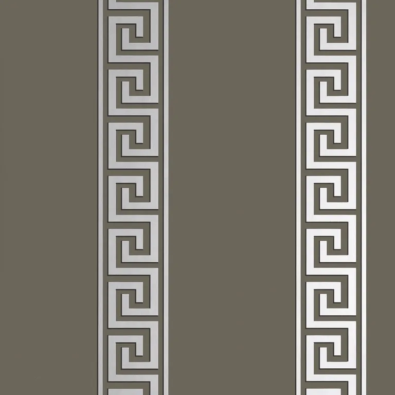 Thibaut Andreas Stripe in Metallic Silver on Charcoal (T14245)