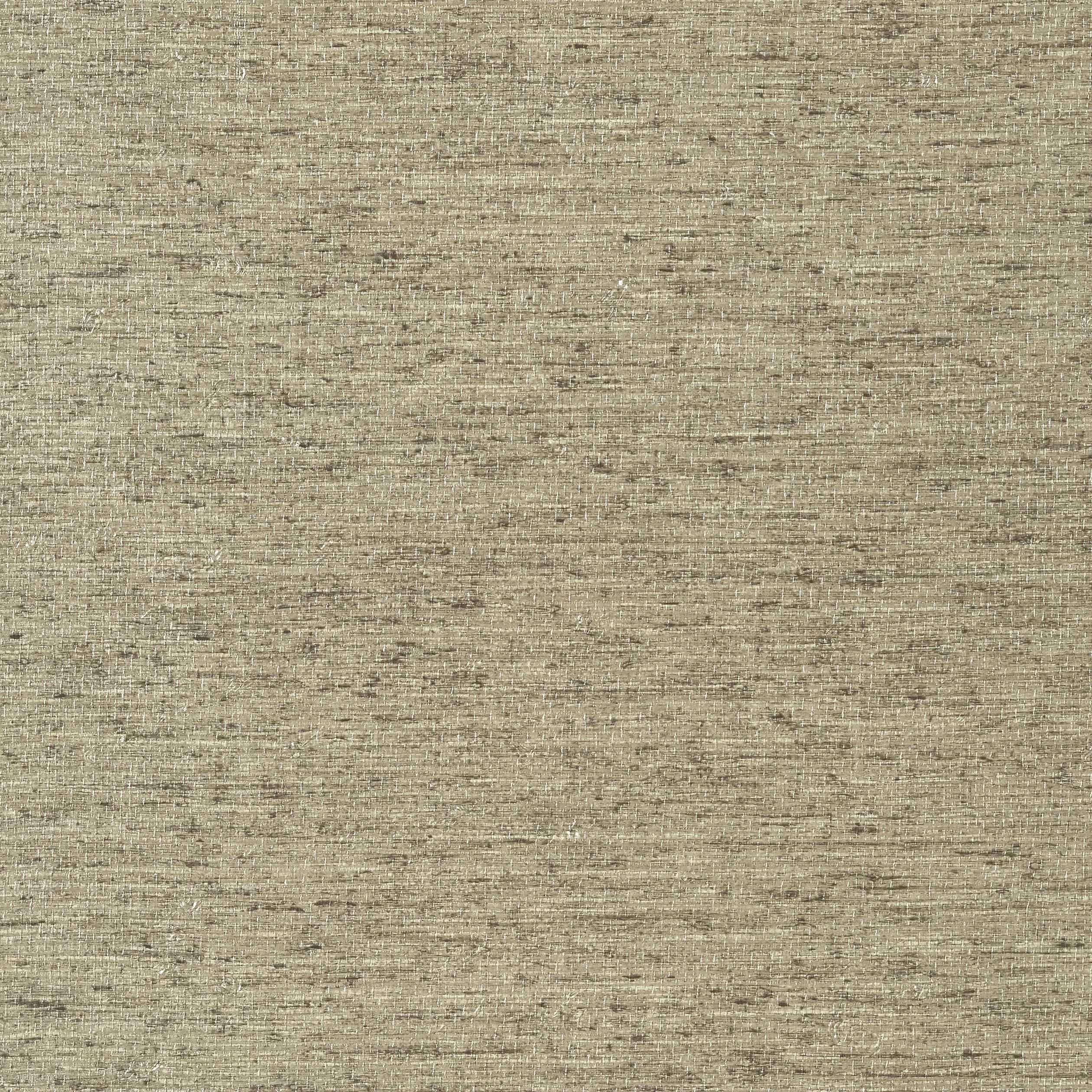 T57184 | Arrowroot – Fog