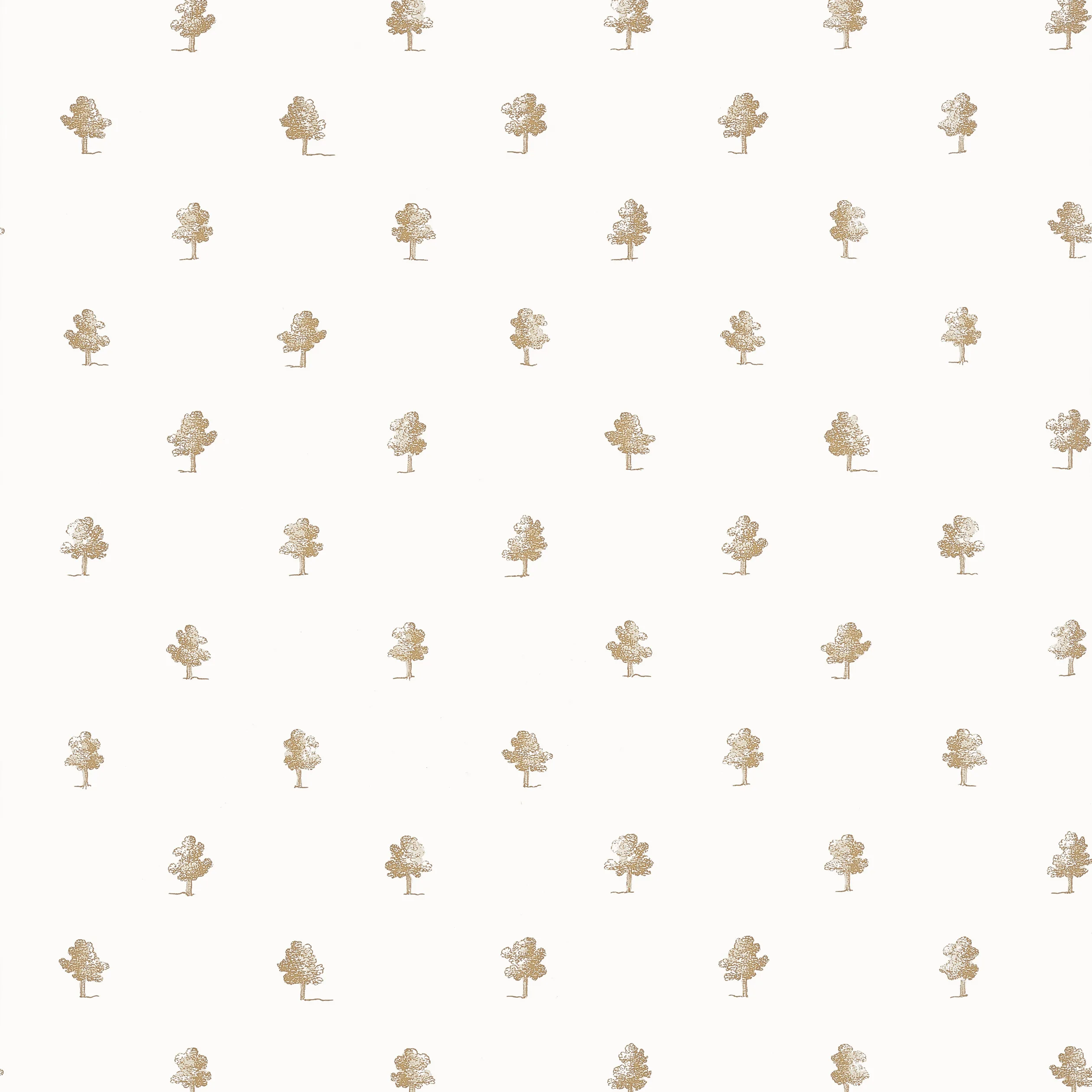 Anna French Ashton in Beige (AT57874)
