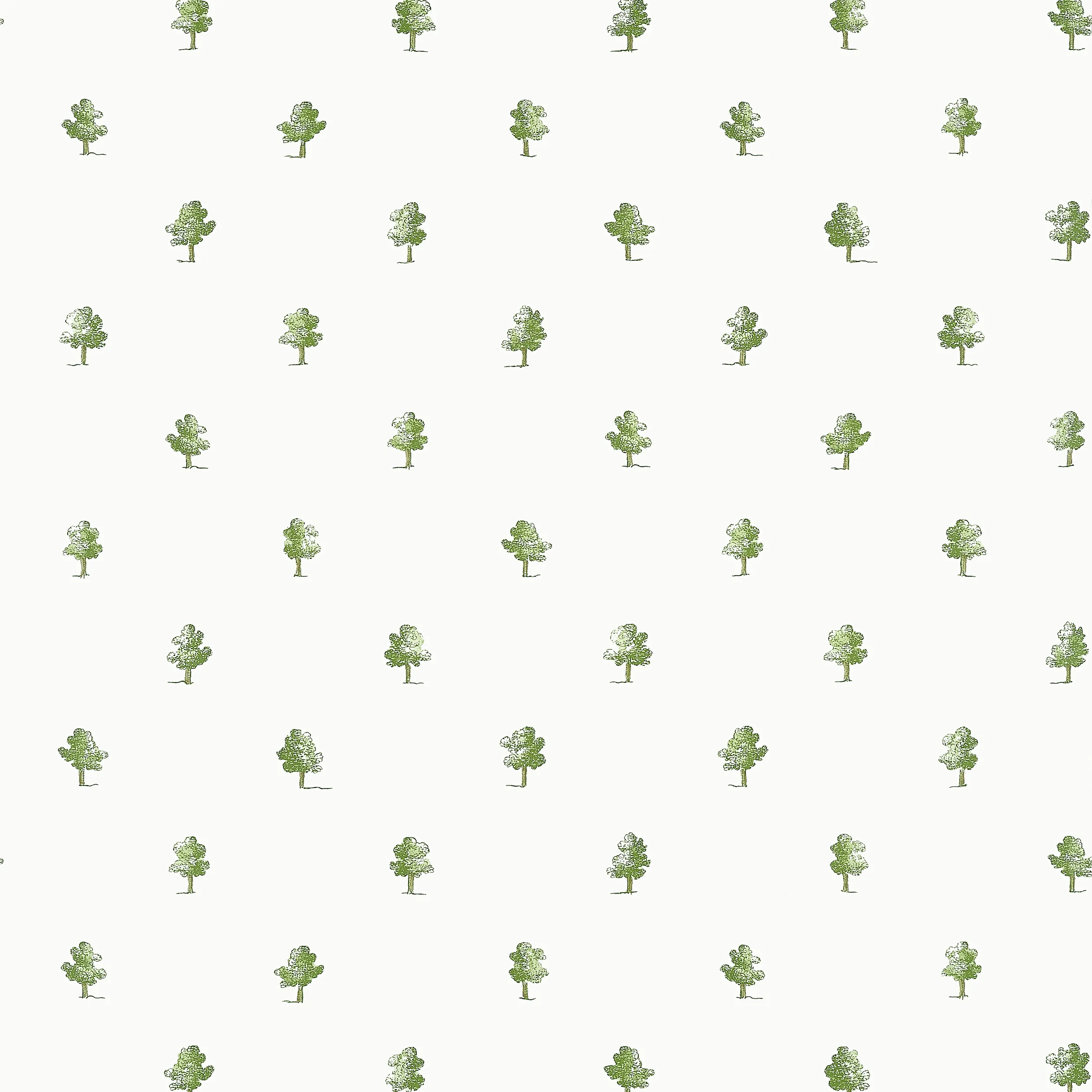 Anna French Ashton in Green (AT57875)