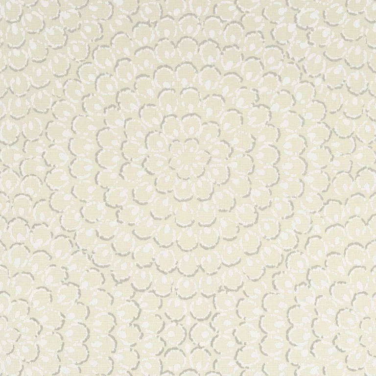 Thibaut Aster in Beige (T4030)