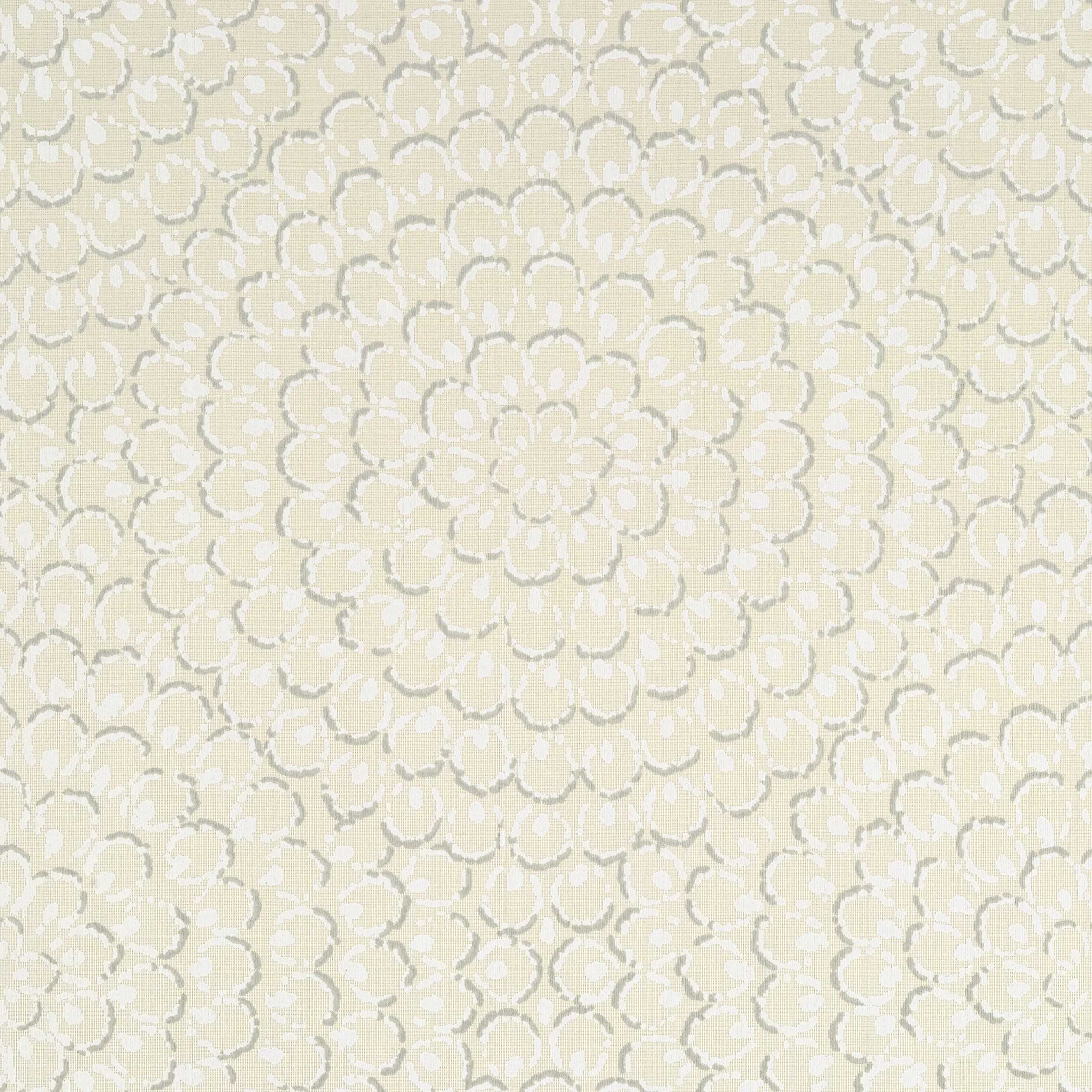 Thibaut Aster in Beige (T4030)