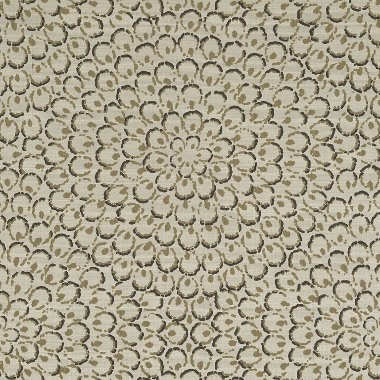 Thibaut Aster in Charcoal (T4035)