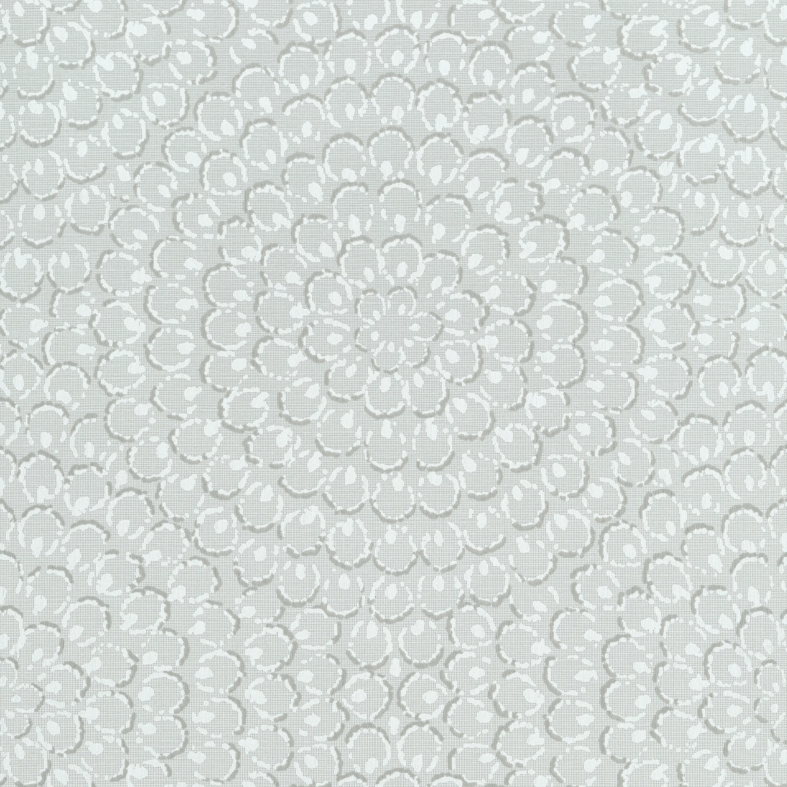 T4031 | Aster - Grey Thibaut Aster in Grey (T4031)