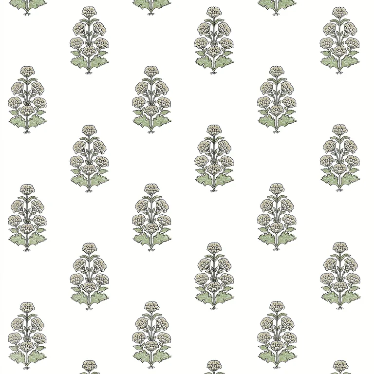 Thibaut Audrey in Beige (T10522)