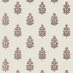 Thibaut Audrey in Blush (T10523)