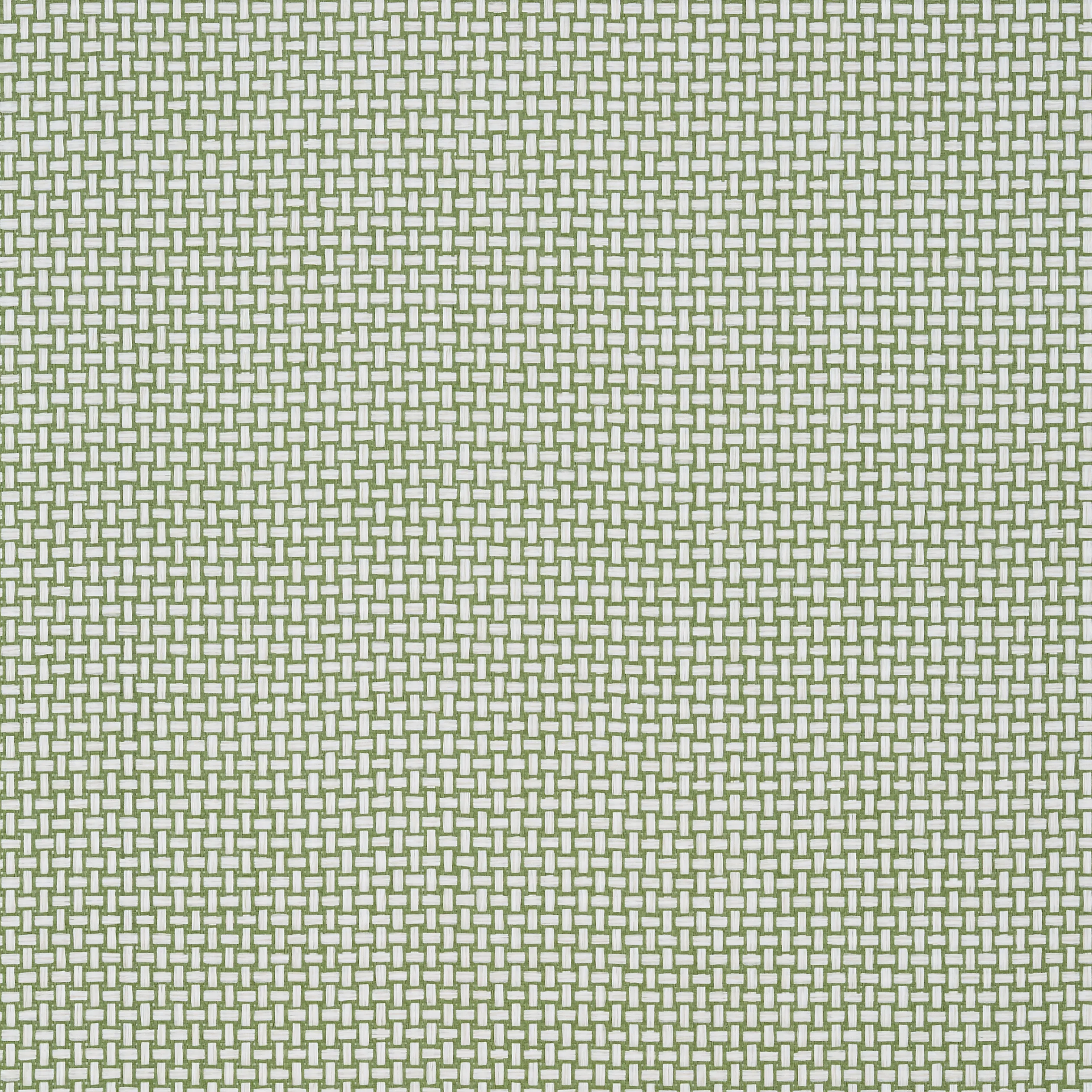 T2939 | Baker Weave – Green