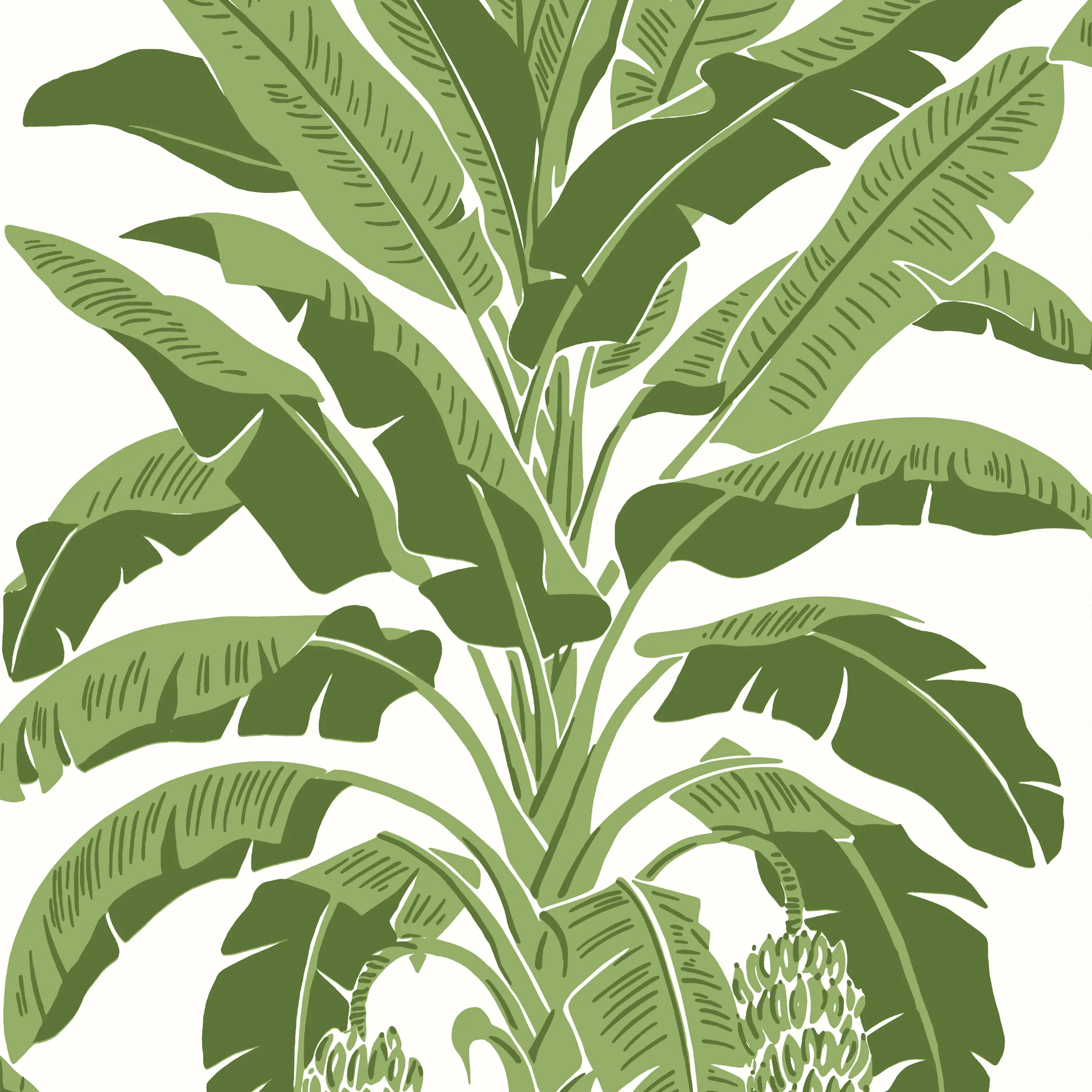 Thibaut Banana Tree in Green (T13914)