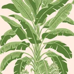 T13917 | Banana Tree - Pink and Green Thibaut Banana Tree in Pink and Green (T13917)