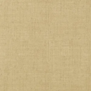Thibaut Bankun Raffia in Antique (T6817)