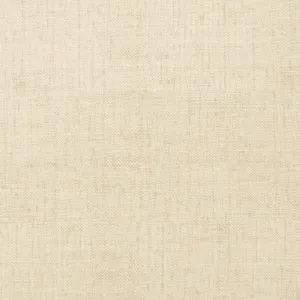 Thibaut Bankun Raffia in Biscuit (T14135)