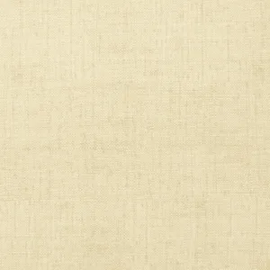 Thibaut Bankun Raffia in Cream (T6814)
