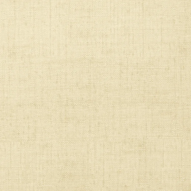 Thibaut Bankun Raffia in Cream (T6814)