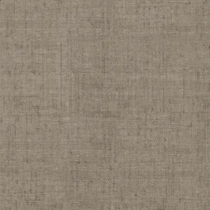 Thibaut Bankun Raffia in Dark Grey (T14146)
