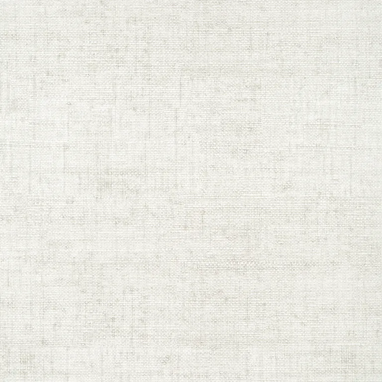 Thibaut Bankun Raffia in Dove (T14509)